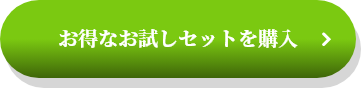 お得なお試しセットを購入